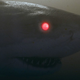 Illustration for article titled iSanta Jaws /iis chumming to townem/em
